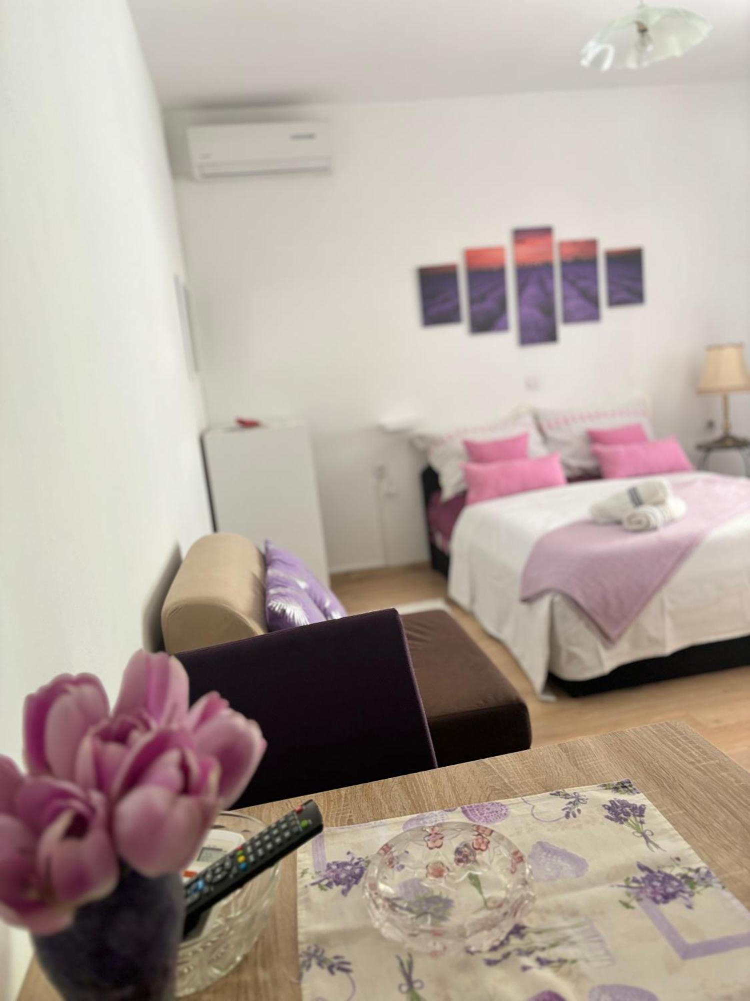 Apartments Ivana Bibinje Ngoại thất bức ảnh