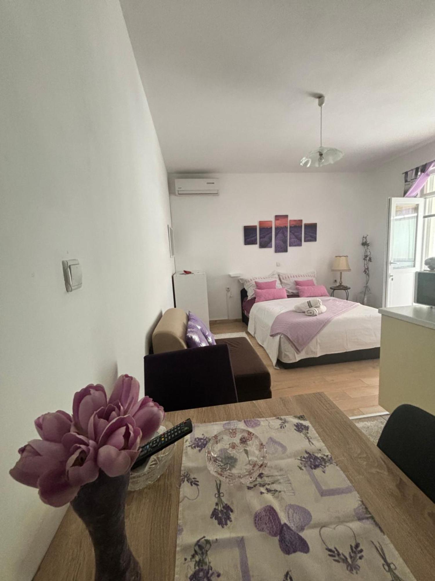 Apartments Ivana Bibinje Ngoại thất bức ảnh